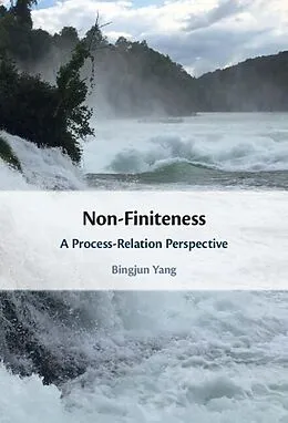 E-Book (epub) Non-Finiteness von Bingjun Yang
