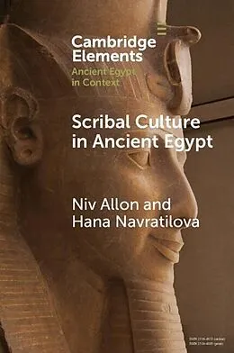 E-Book (epub) Scribal Culture in Ancient Egypt von Niv Allon, Hana Navratilova