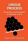 E-Book (pdf) Undue Process von Fiona Feiang Shen-Bayh