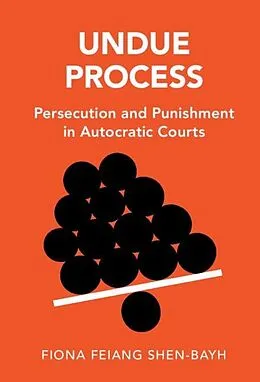 E-Book (pdf) Undue Process von Fiona Feiang Shen-Bayh