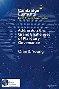 E-Book (pdf) Addressing the Grand Challenges of Planetary Governance von Oran R. Young