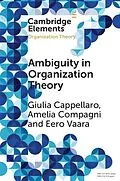 E-Book (pdf) Ambiguity in Organization Theory von Giulia Cappellaro, Amelia Compagni, Eero Vaara