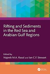 eBook (epub) Rifting and Sediments in the Red Sea and Arabian Gulf Regions de 