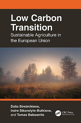 E-Book (pdf) Low Carbon Transition von Dalia Streimikiene, Indre Siksnelyte-Butkiene, Tomas Balezentis