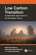 E-Book (epub) Low Carbon Transition von Dalia Streimikiene, Indre Siksnelyte-Butkiene, Tomas Balezentis