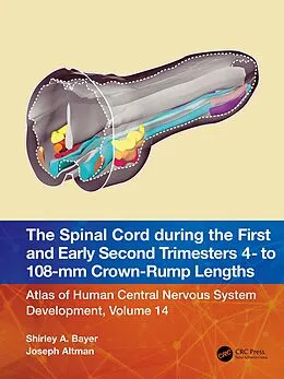 E-Book (epub) The Spinal Cord during the First and Early Second Trimesters 4- to 108-mm Crown-Rump Lengths von Shirley A. Bayer, Joseph Altman
