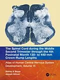 E-Book (epub) The Spinal Cord during the Middle Second Trimester through the 4th Postnatal Month 130- to 440-mm Crown-Rump Lengths von Shirley A. Bayer, Joseph Altman