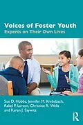 E-Book (pdf) Voices of Foster Youth von Sue D. Hobbs, Jennifer M. Krebsbach, Rakel P. Larson
