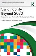 E-Book (pdf) Sustainability Beyond 2030 von Marco Tavanti, Alfredo Sfeir-Younis