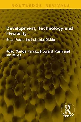E-Book (epub) Development, Technology and Flexibility von João Carlos Ferraz, Howard Rush, Ian Miles