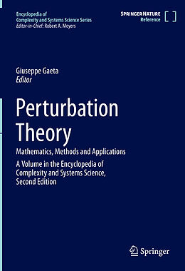 Livre Relié Perturbation Theory de 