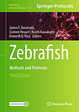 eBook (pdf) Zebrafish de 