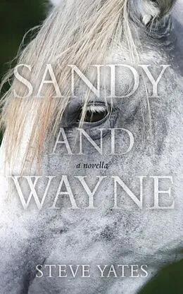 E-Book (epub) Sandy and Wayne von Steve Yates