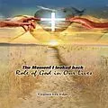 E-Book (epub) The Moment I looked back von Virginia Edge