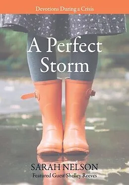E-Book (epub) A Perfect Storm von Sarah Nelson
