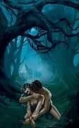Fester Einband Devil's Night von Katerina St Clair