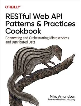 E-Book (pdf) RESTful Web API Patterns and Practices Cookbook von Mike Amundsen