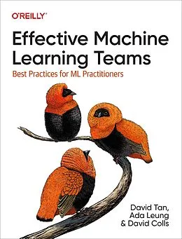 E-Book (epub) Effective Machine Learning Teams von David Tan, Ada Leung, David Colls