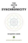 E-Book (epub) Depth of Synchronicity von Benjamin Cohn
