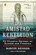 E-Book (epub) The Amistad Rebellion von Marcus Rediker