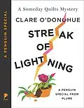 E-Book (epub) Streak of Lightning von Clare O'Donohue