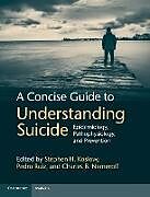 Fester Einband A Concise Guide to Understanding Suicide von Stephen H. (University of Miami) Ruiz, Ped Koslow