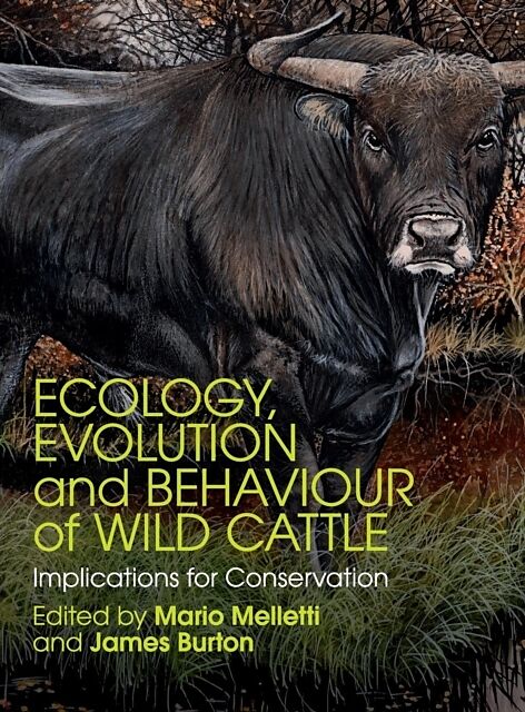 Ecology, Evolution and Behaviour of Wild Cattle