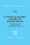 E-Book (pdf) Canonical Ramsey Theory on Polish Spaces von Vladimir Kanovei