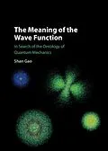 E-Book (pdf) Meaning of the Wave Function von Shan Gao