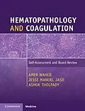 E-Book (pdf) Hematopathology and Coagulation von Amer Wahed