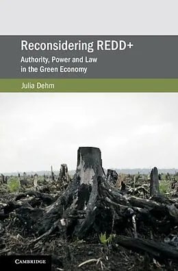 E-Book (pdf) Reconsidering REDD+ von Julia Dehm