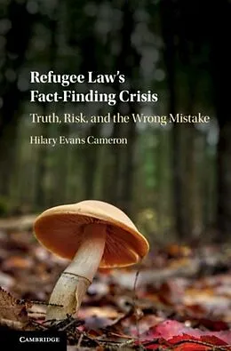 E-Book (pdf) Refugee Law's Fact-Finding Crisis von Hilary Evans Cameron