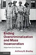 PDF Ending Overcriminalization and Mass Incarceration von Anthony B. Bradley