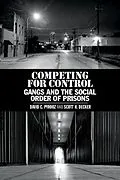 E-Book (pdf) Competing for Control von David C. Pyrooz