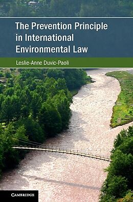 E-Book (epub) Prevention Principle in International Environmental Law von Leslie-Anne Duvic-Paoli
