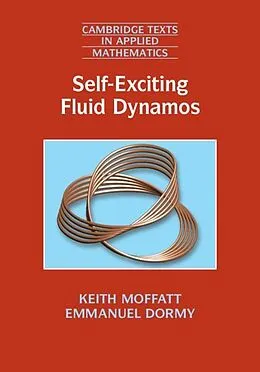 E-Book (pdf) Self-Exciting Fluid Dynamos von Keith Moffatt
