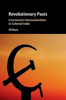 E-Book (pdf) Revolutionary Pasts von Ali Raza