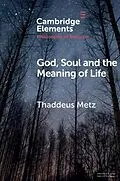 E-Book (pdf) God, Soul and the Meaning of Life von Thaddeus Metz
