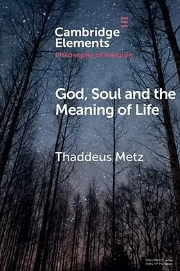 E-Book (pdf) God, Soul and the Meaning of Life von Thaddeus Metz