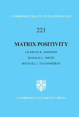 eBook (epub) Matrix Positivity de Charles R. Johnson