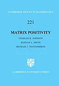 E-Book (epub) Matrix Positivity von Charles R. Johnson