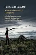 E-Book (pdf) Puzzle and Paradox von Mireille Razafindrakoto, Francois Roubaud, Jean-Michel Wachsberger