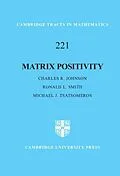 E-Book (pdf) Matrix Positivity von Charles R. Johnson