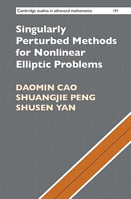 eBook (epub) Singularly Perturbed Methods for Nonlinear Elliptic Problems de Daomin Cao