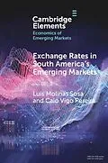 E-Book (pdf) Exchange Rates in South America's Emerging Markets von Luis Molinas Sosa