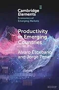 E-Book (pdf) Productivity in Emerging Countries von Alvaro Escribano