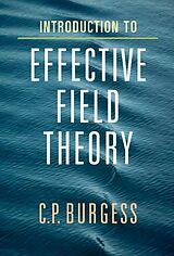 E-Book (pdf) Introduction to Effective Field Theory von C. P. Burgess