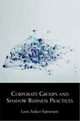 Kartonierter Einband (Kt) Corporate Groups and Shadow Business Practices von Linn Anker-Sørensen