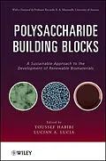 E-Book (pdf) Polysaccharide Building Blocks von Youssef Habibi, Lucian A. Lucia