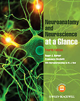 E-Book (epub) Neuroanatomy and Neuroscience at a Glance von Roger A. Barker, Francesca Cicchetti